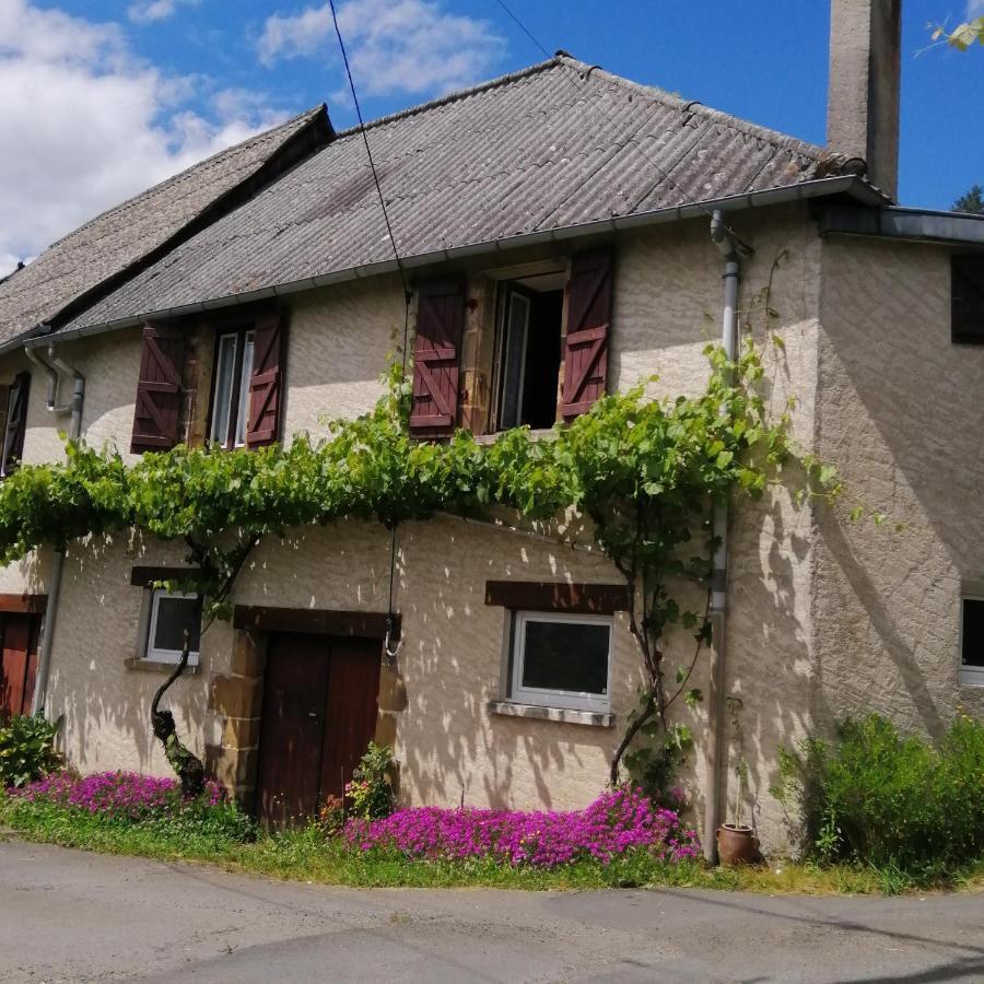 Maison Familiale Coteaux De La Vezere Voutezac Dış mekan fotoğraf